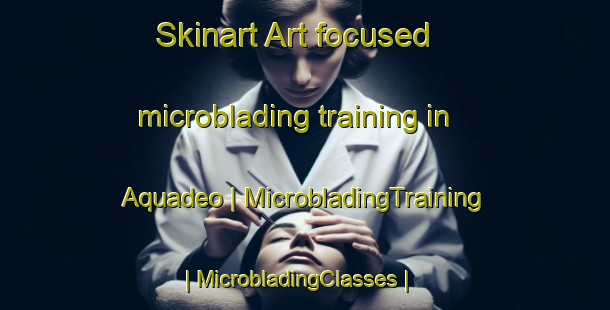 Skinart Art-focused microblading training in Aquadeo | MicrobladingTraining | MicrobladingClasses | SkinartTraining-Canada